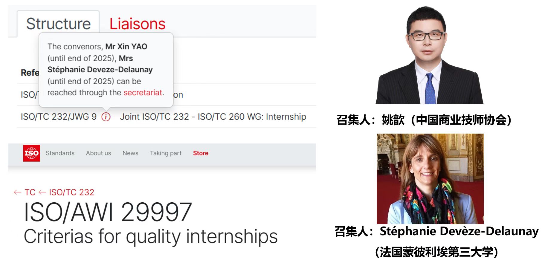 我会专家出任国际标准工作组召集人